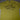 GSCS Tee - view 10