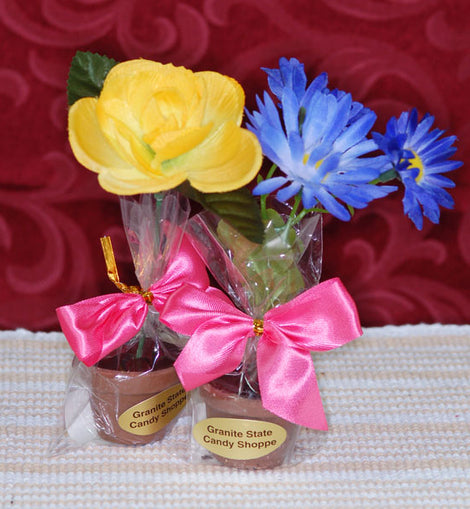 chocolate plant pot Chocolate Flower Pot – Granite State Candy Shoppe