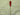 Swizzle Stick - view 9